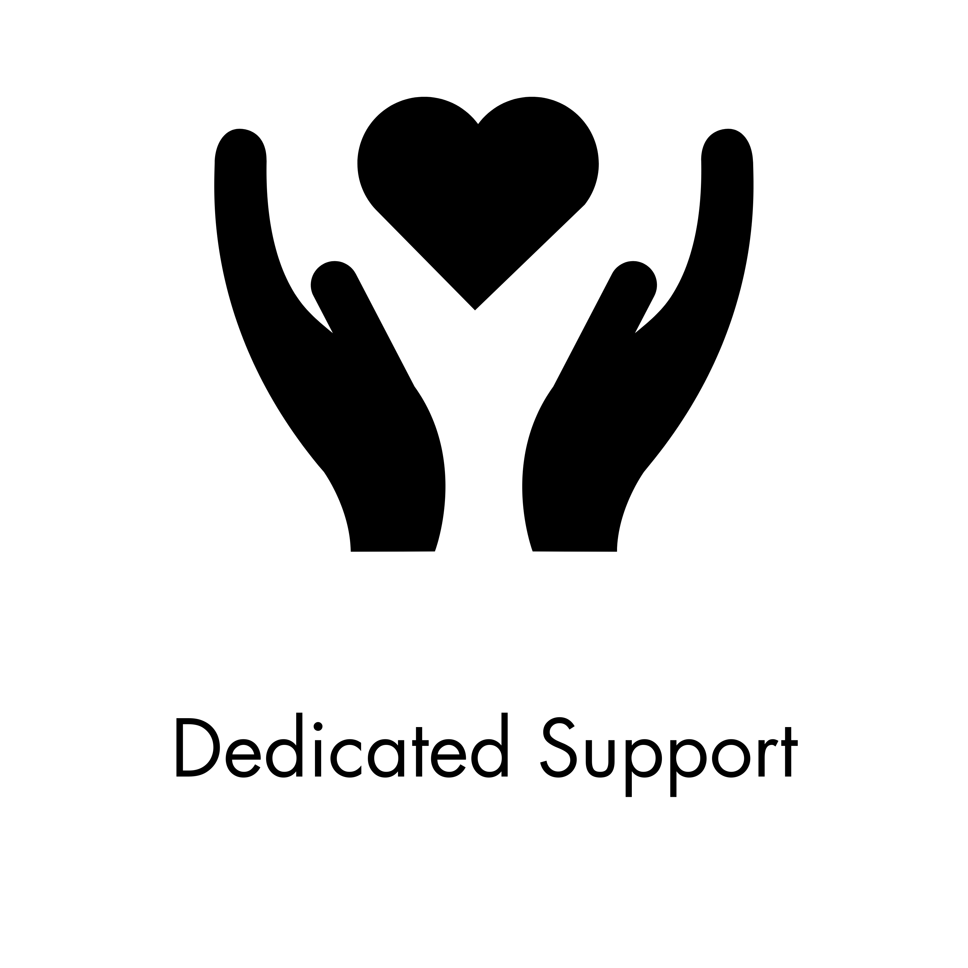 Icon 2 Support